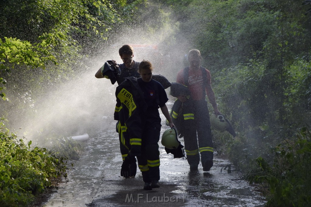 Waldbrand Koeln Hoehenhaus Hoehenfelder Mauspfad P192.JPG - Miklos Laubert